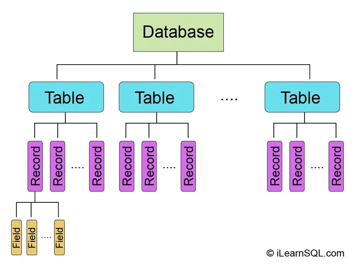 Advantages and Disadvantages of Flat File Databases
