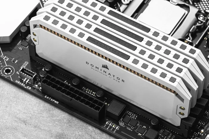 Can Asus Prime Z690 P Use Ddr5 Ram And Memory Modules